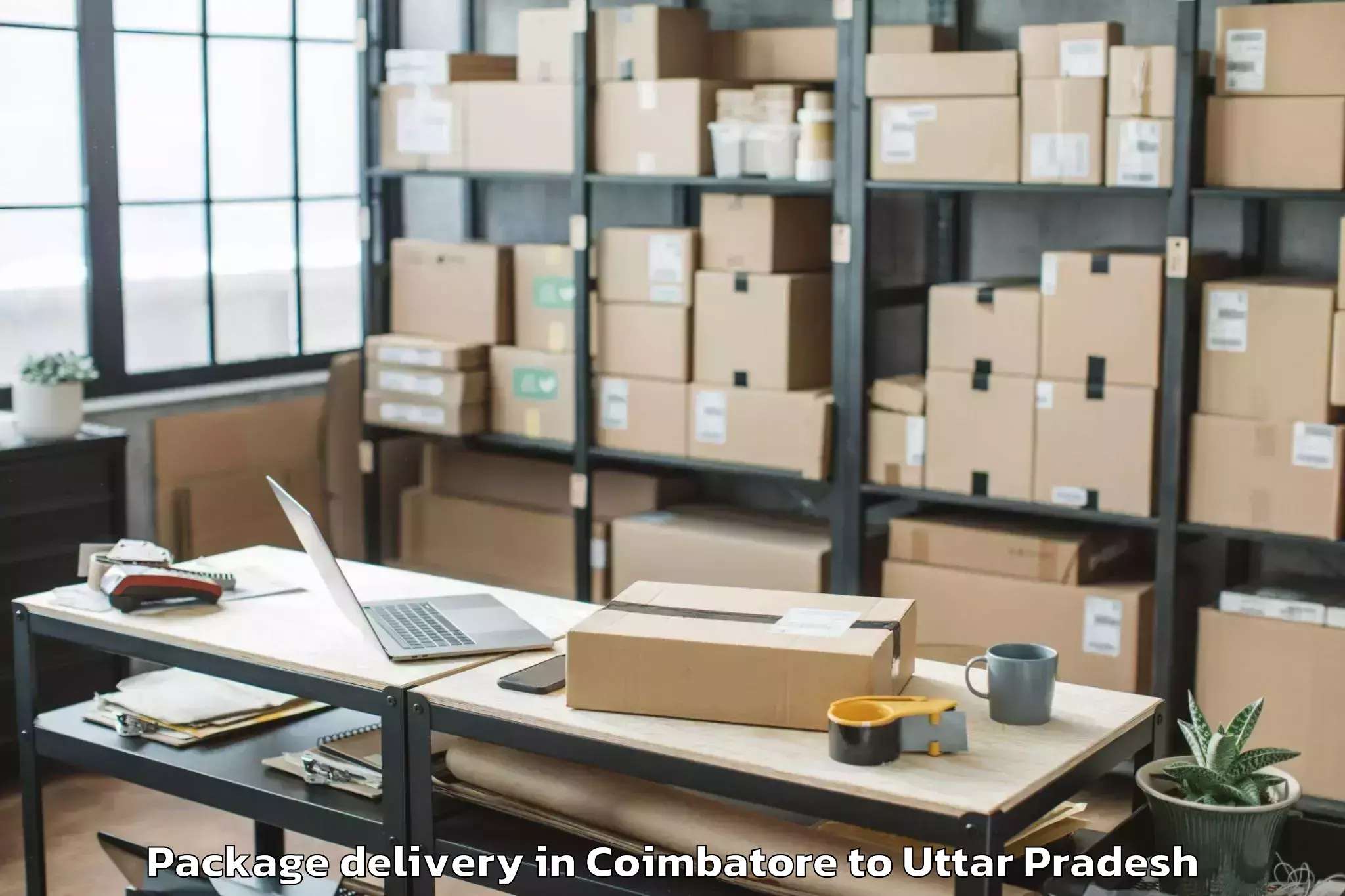 Reliable Coimbatore to Maharaganj Package Delivery